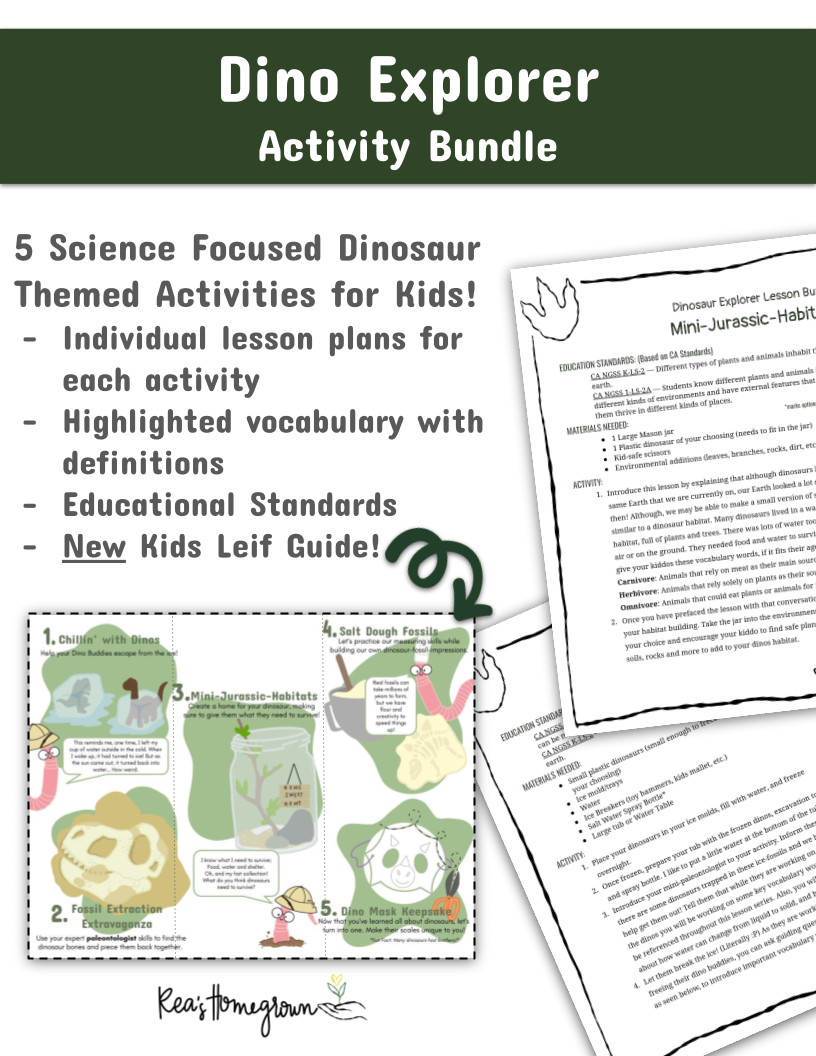 Dino Explorer Activity Bundle with educational materials and lesson plans for kids.