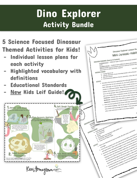 Dino Explorer Activity Bundle with educational materials and lesson plans for kids.