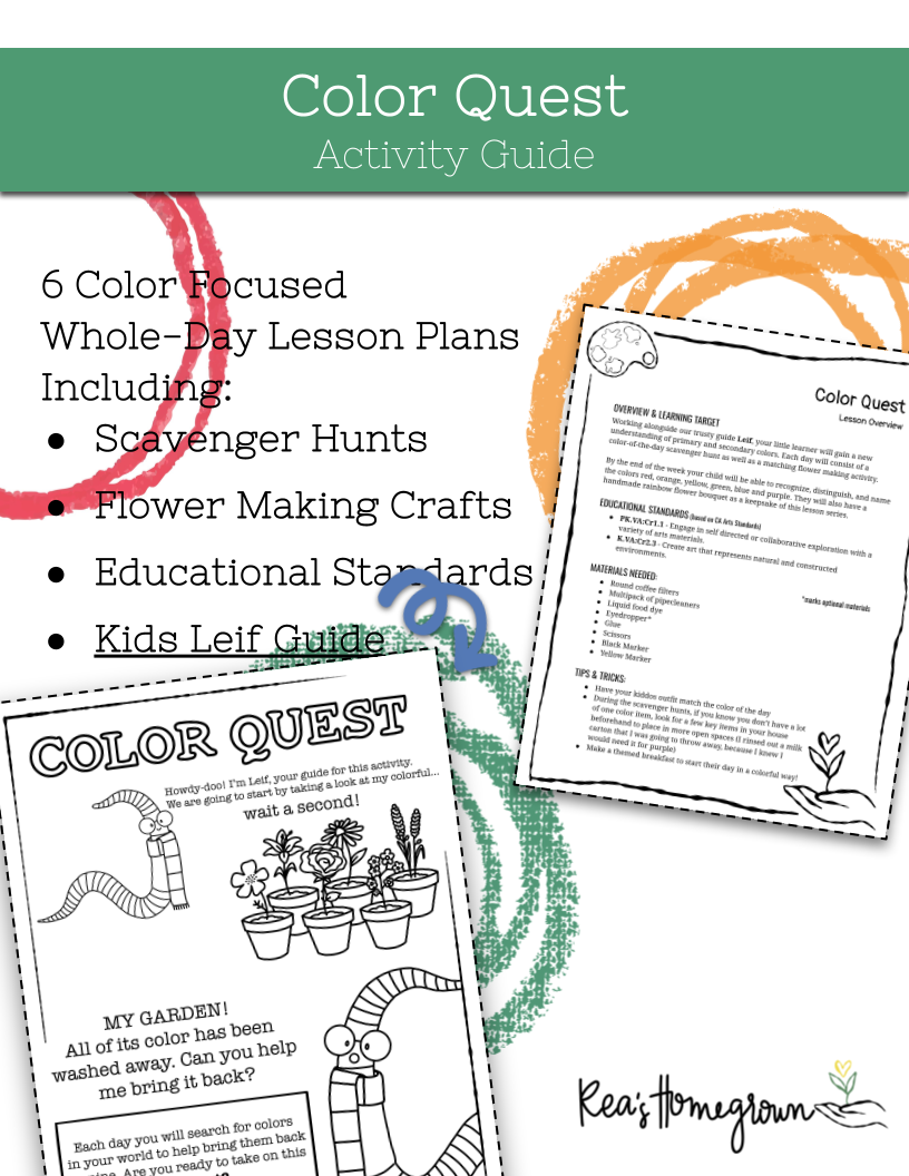 Color Quest Activity Guide with lesson plans and educational materials on a white background