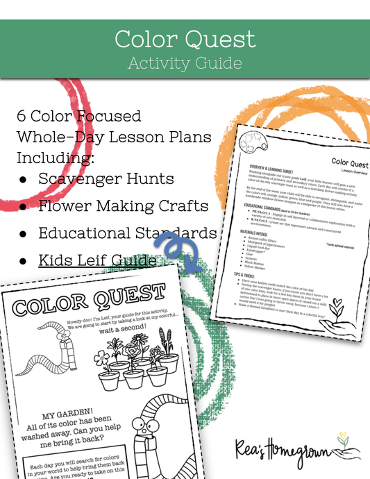 Color Quest Activity Guide with lesson plans and educational materials on a white background